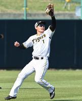 　ライトでノックを受ける森下（撮影・飯室逸平）