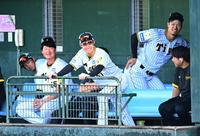 　ベンチで談笑する（右から）佐藤輝、中野ら（撮影・飯室逸平）