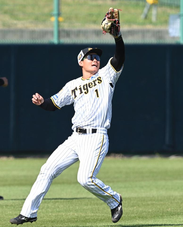 　ライトでノックを受ける森下（撮影・飯室逸平）