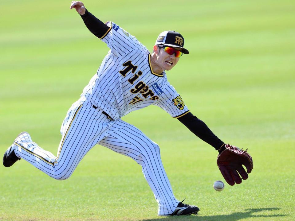 　シートノックでボールを追いかける中野（撮影・田中太一）