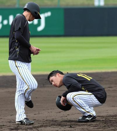 　走塁練習中に近本（左）が履くスパイクの裏をのぞき込む（撮影・立川洋一郎）