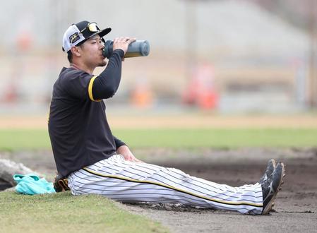 阪神・佐藤輝 特守効果で?柵越え22発 今季初対外試合で成果出す「しっかり練習通りできるか」