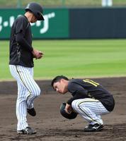 　走塁練習中に近本（左）が履くスパイクの裏をのぞき込む（撮影・立川洋一郎）