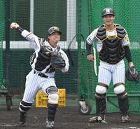 　守備練習に励む梅野（左、右は坂本）＝撮影・飯室逸平