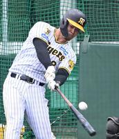 　ランチ特打で柵越えを連発する佐藤輝＝１６日