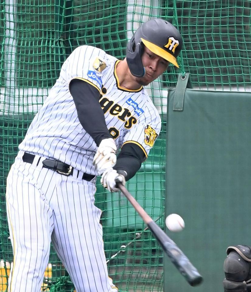 　ランチ特打で柵越えを連発する佐藤輝＝１６日