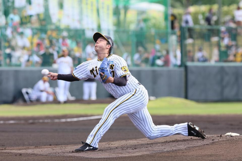 　力投する先発の青柳（撮影・立川洋一郎）