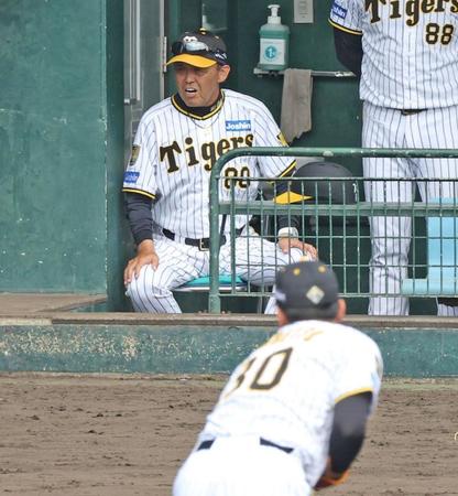 　３回、門別（手前）が村林を空振り三振に斬り、声を上げる岡田監督（撮影・中田匡峻）