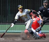 　５回、２点タイムリー二塁打を放つ坂本（撮影・飯室逸平）