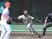 　４回、左前打を放つ中野（撮影・飯室逸平）