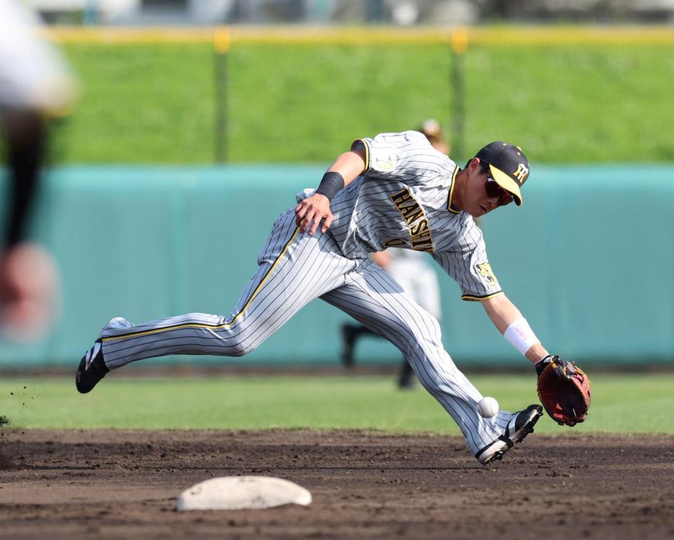 　７回、中村貴の打球を好捕し一塁アウトにする木浪（撮影・山口登）