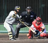 　４回、左前打を放つ中野（撮影・飯室逸平）