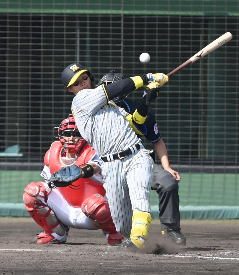 　５回、左前打を放つ森下（撮影・飯室逸平）