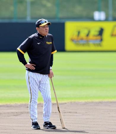 　ゲラの投球を見る岡田監督（撮影・山口登）