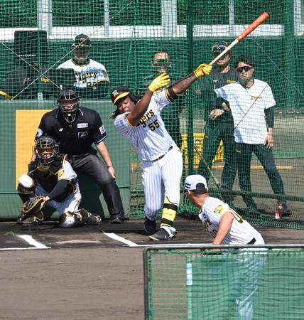 　ミエセスから空振りを奪うゲラ（撮影・飯室逸平）