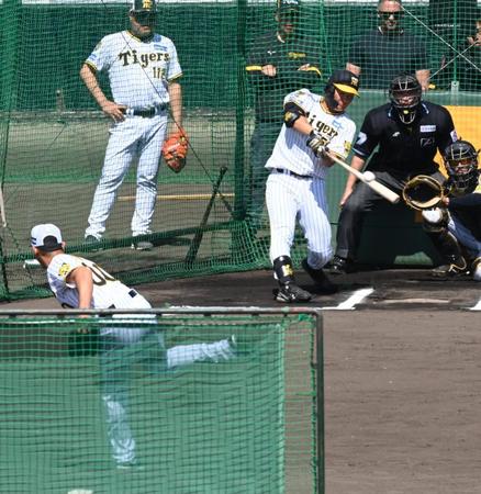 　ゲラから快音を響かせる前川