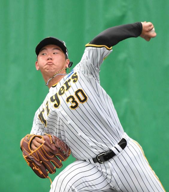 AREで賞】阪神・門別 キャンプ最多76球 札幌凱旋登板へ投げ込み