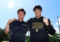 【阪神タイガース】 ● 才木浩人　● 村上頌樹● 伊藤将史　直筆サイン ミントモール / MINT 千葉店 / エポック 阪神タイガース STARS