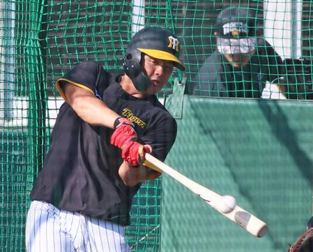 　特打で快音を響かせる前川