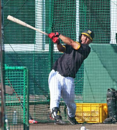 　特打で快音を響かせる前川（撮影・立川洋一郎）