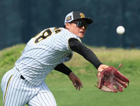 　外野ノックの打球を追ってグラブを出す前川（撮影・立川洋一郎）