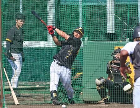 　フリー打撃で快音を響かせる前川（撮影・立川洋一郎）