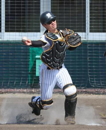 　シートノックで三塁へ送球する坂本（撮影・立川洋一郎）