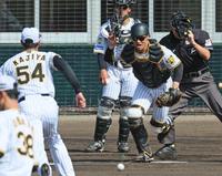 　投内総合練習でボールを追う坂本（撮影・立川洋一郎）