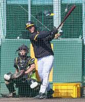 　フリー打撃で打ち込む坂本（撮影・立川洋一郎）