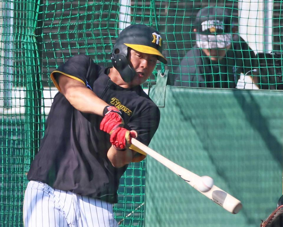 　特打で快音を響かせる前川