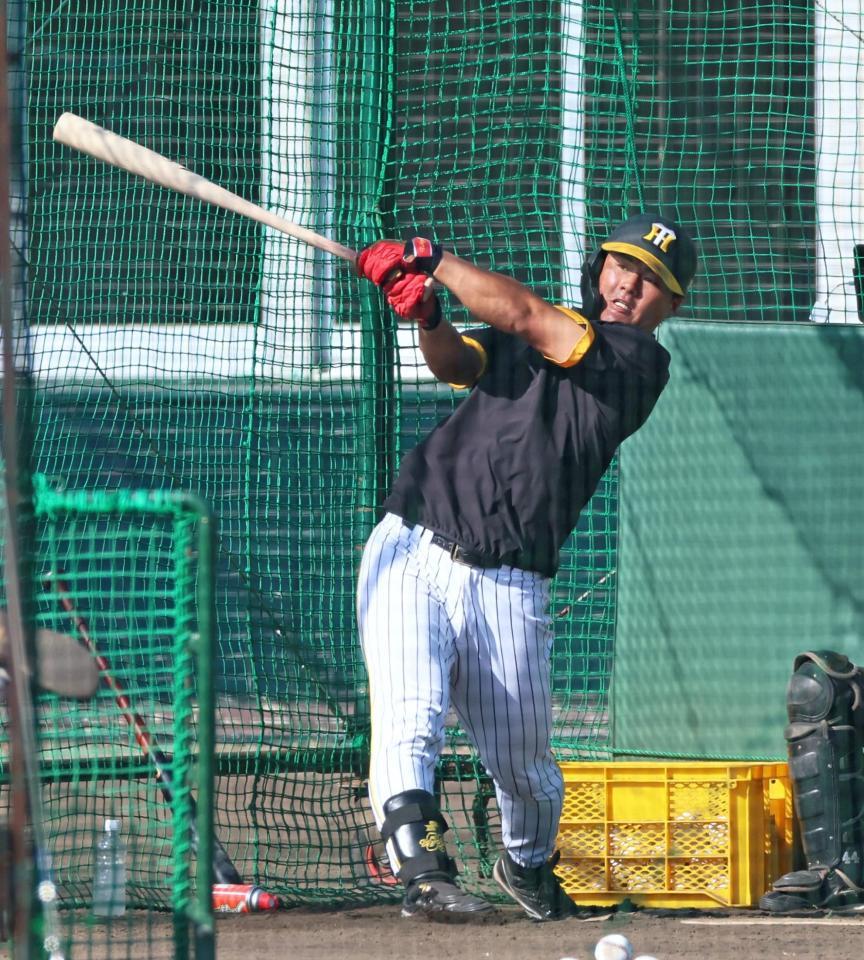 　特打で快音を響かせる前川（撮影・立川洋一郎）