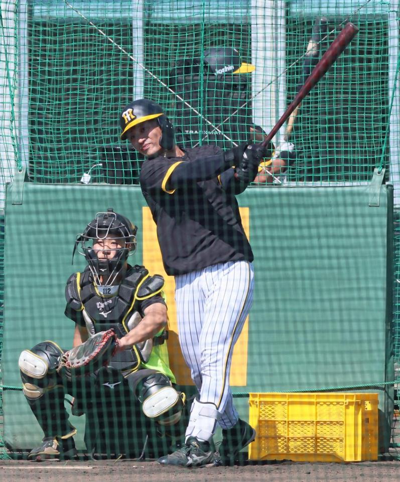 　フリー打撃で打ち込む坂本（撮影・立川洋一郎）