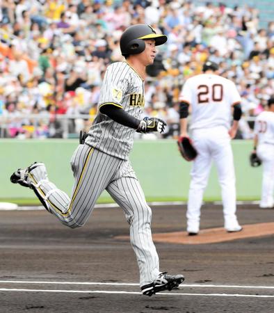 　１回、近本は戸郷（右）から左前安打を放つ（撮影・佐藤厚）