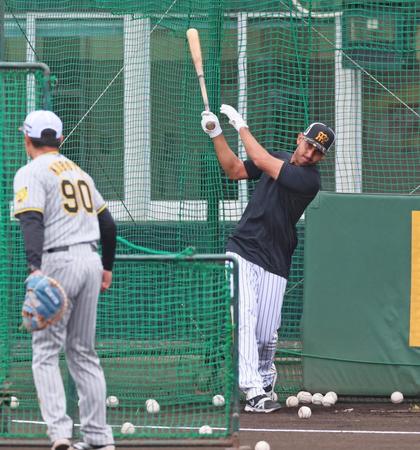 　打撃練習で柵越えを放ったゲラ（撮影・立川洋一郎）