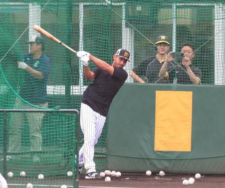 　フリー打撃で打ち込むゲラ（撮影・立川洋一郎）