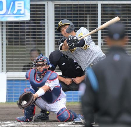 　２回、空振り三振に倒れる井上（撮影・伊藤笙子）