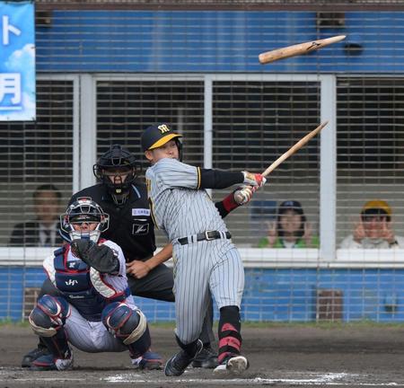 　５回、バットを真っ二つに折られ、三ゴロに倒れた野口（撮影・伊藤笙子）