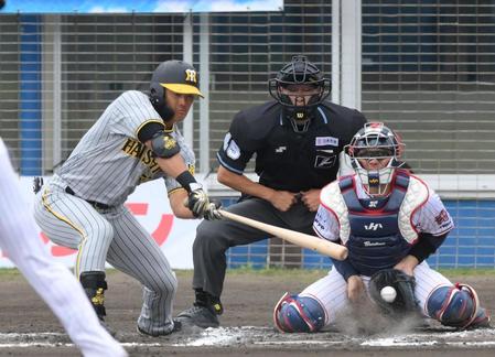 　７回、落ちる球に手を出し、空振り三振に倒れた前川（撮影・伊藤笙子）