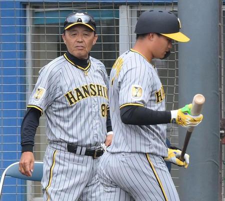 　８回、森下（右）が空振り三振に倒れ、選手交代を告げベンチに戻る岡田監督（撮影・伊藤笙子）