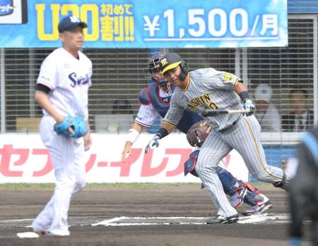 　１回、石川（手前）の前に遊ゴロに倒れる小野寺（撮影・伊藤笙子）