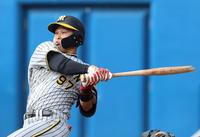 　５回、バットを折られ凡打に倒れる野口（撮影・田中太一）