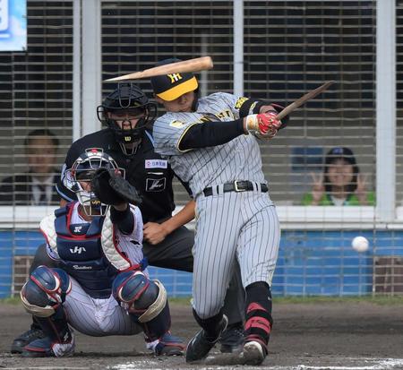 　５回、バットを折られ三ゴロに倒れた野口（撮影・伊藤笙子）