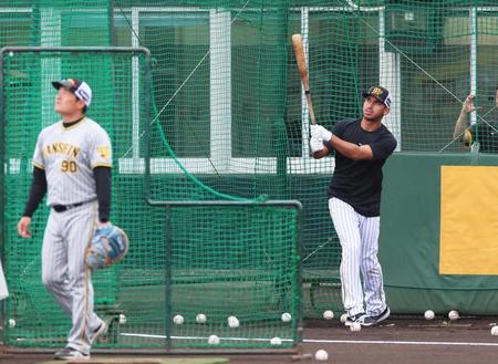 　フリー打撃で柵越えを放つゲラ（撮影・立川洋一郎）