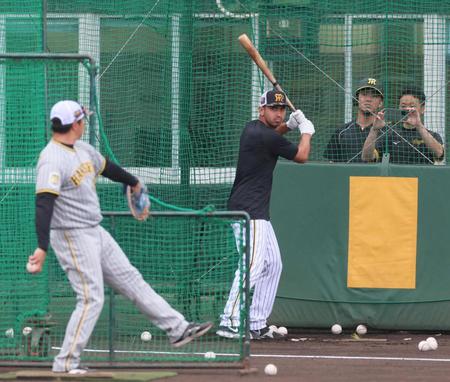 　フリー打撃で柵越えを放つゲラ（撮影・立川洋一郎）