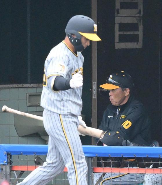 優れた品質 フリース 阪神タイガースモデル デサント 残り1点 DESCENTE ウェア