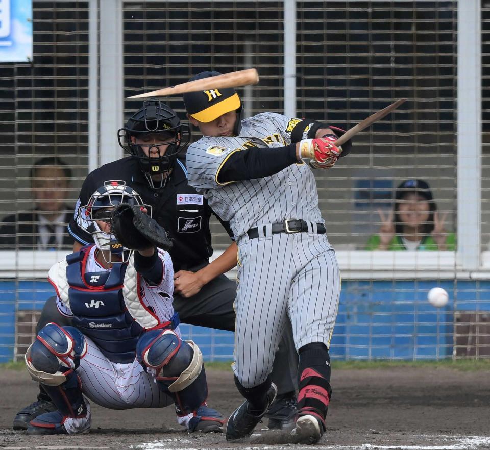 　５回、バットを折られ三ゴロに倒れた野口（撮影・伊藤笙子）