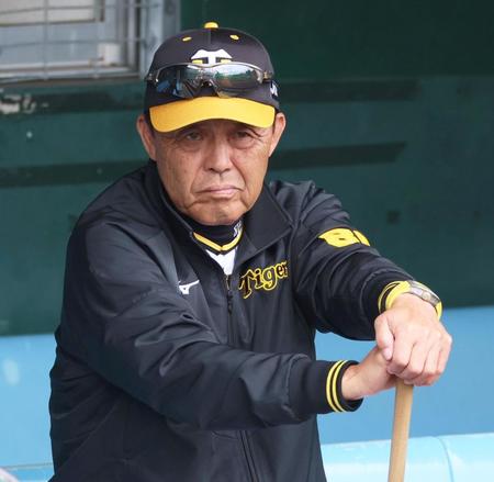 　ベンチに腰かけ特打で打ち込むナインを見入る岡田監督（撮影・立川洋一郎）