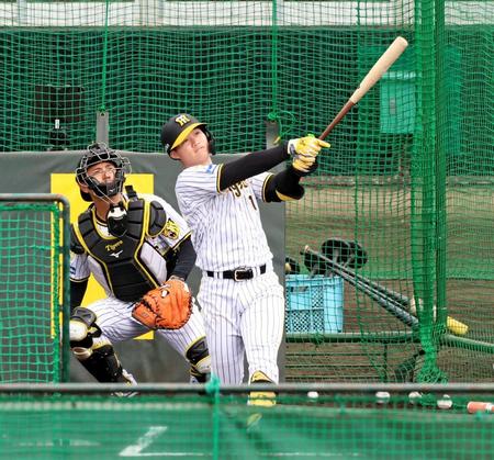 　ランチ特打で柵越えを放つ森下（撮影・立川洋一郎）