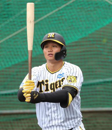 　打撃練習前、旧式のバットを見つめる森下（撮影・田中太一）