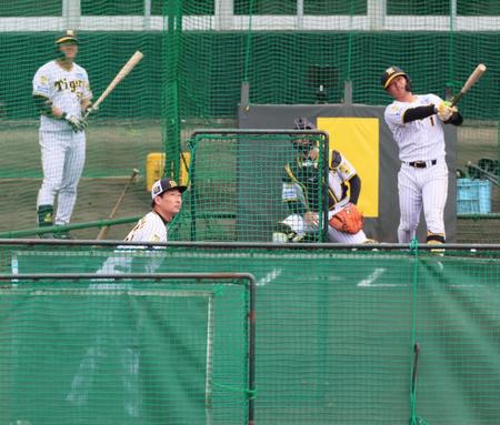 　ランチ特打で打撃投手を務め、森下（右）が放った柵越えの打球を見つめる岩崎（手前）＝撮影・立川洋一郎